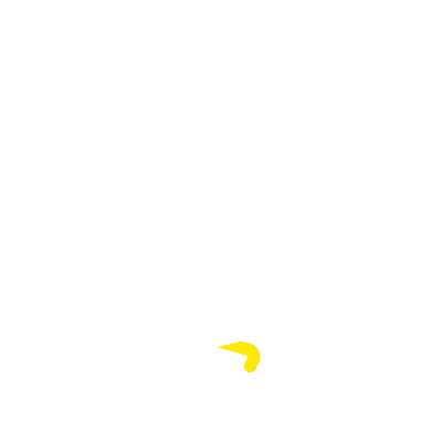 <p>Pájaros</p>

