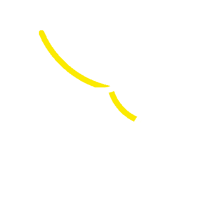 <p>Cachorros</p>
